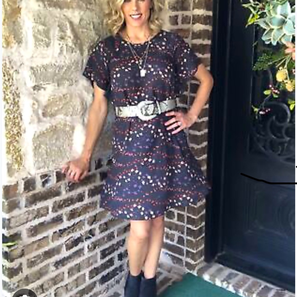 Cabi Muse dress, medium EUC